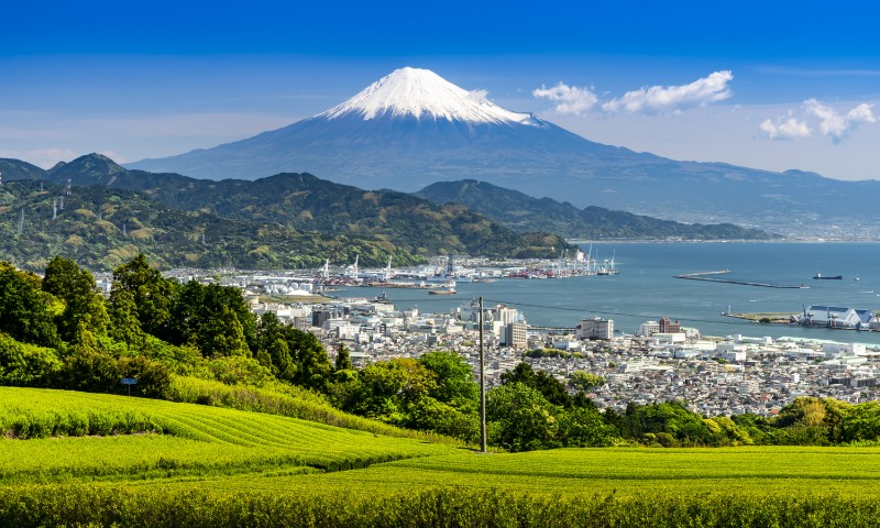 富士山と駿河湾をのぞむ供養に最適な景勝の地「静岡」