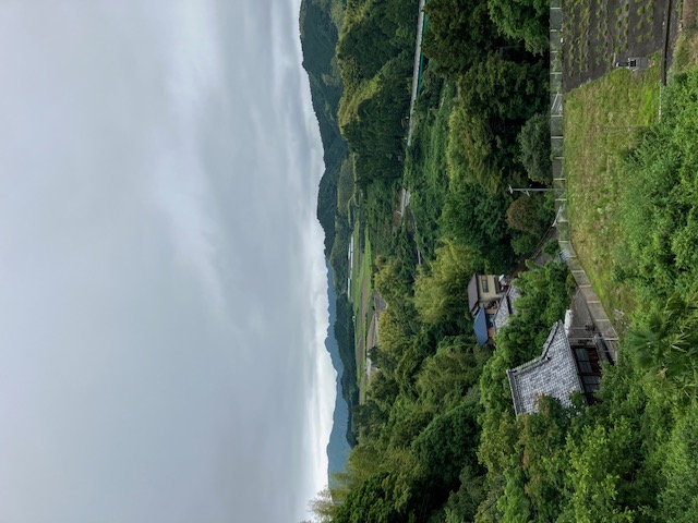 お寺からの眺望④