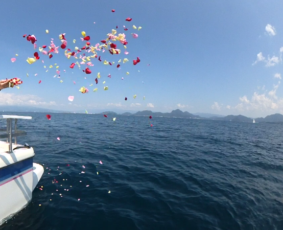 駿河湾での海洋散骨